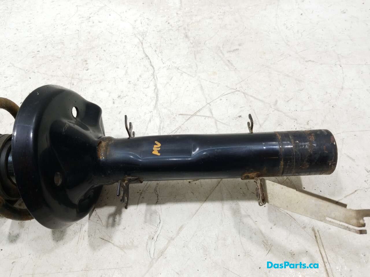 Strut Assembly LF