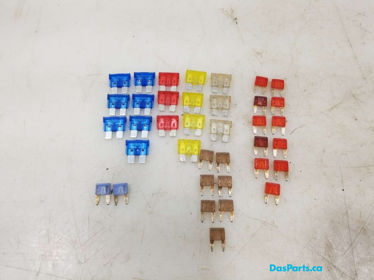Variety Fuse Pack
