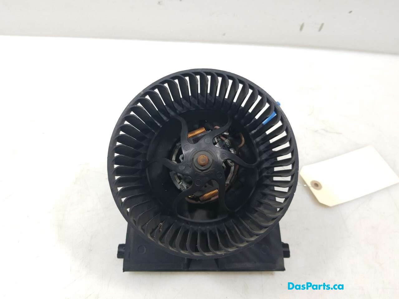 Blower Motor