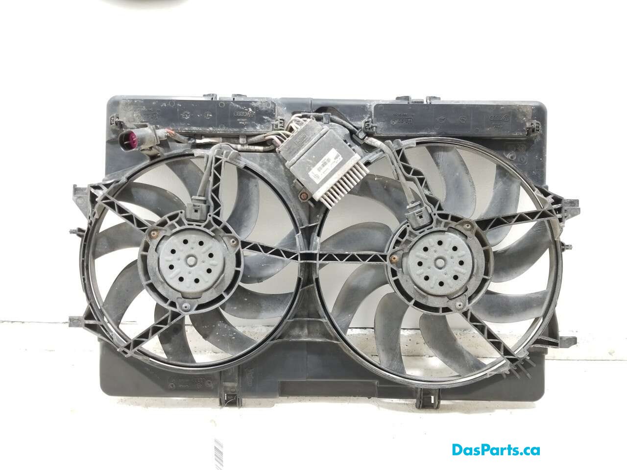 Rad Fan Assembly