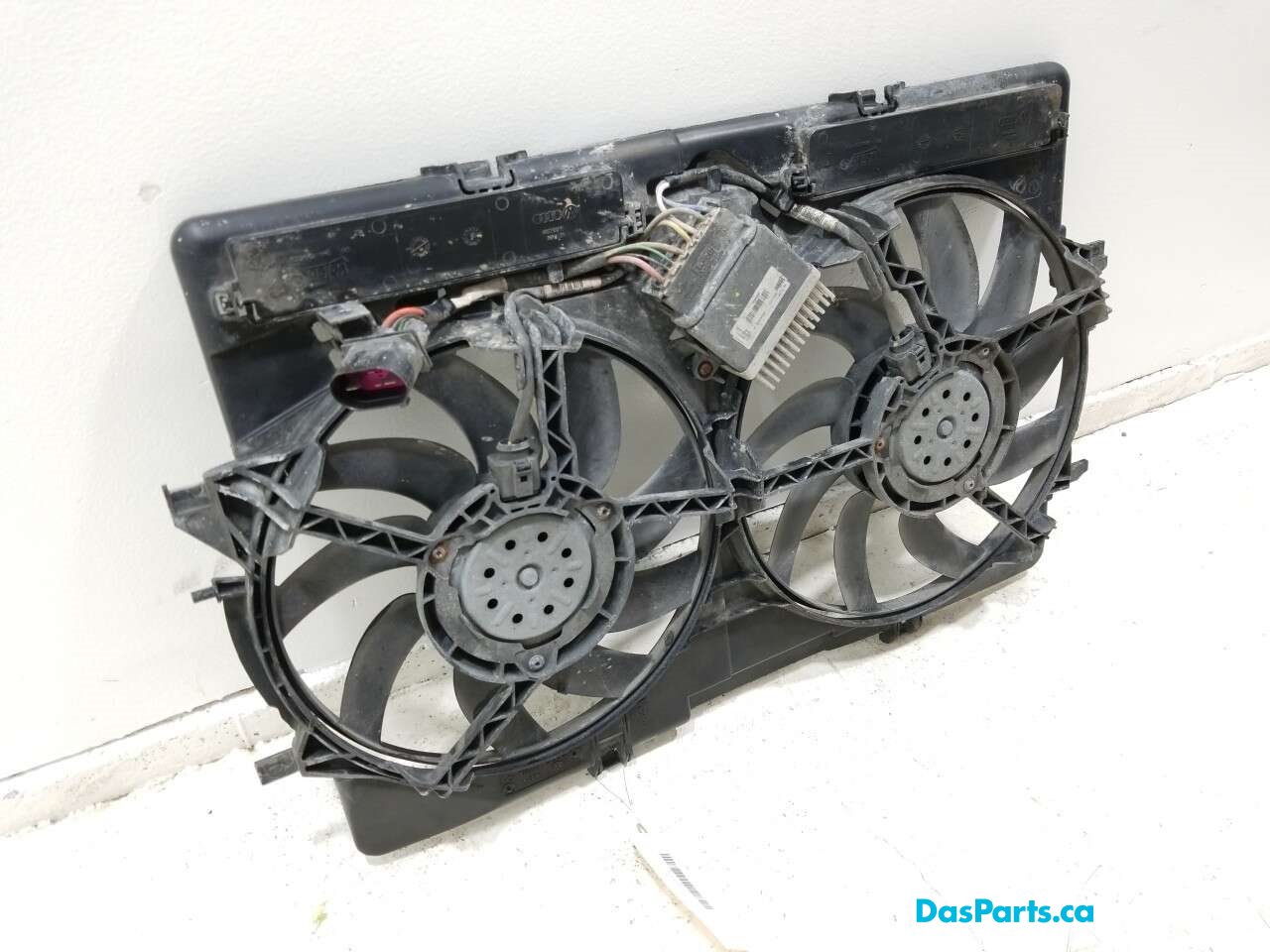 Rad Fan Assembly