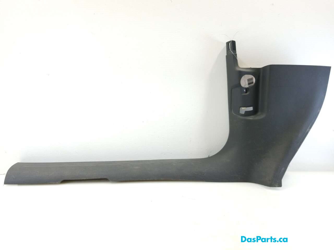Lower Door Sill Trim LF