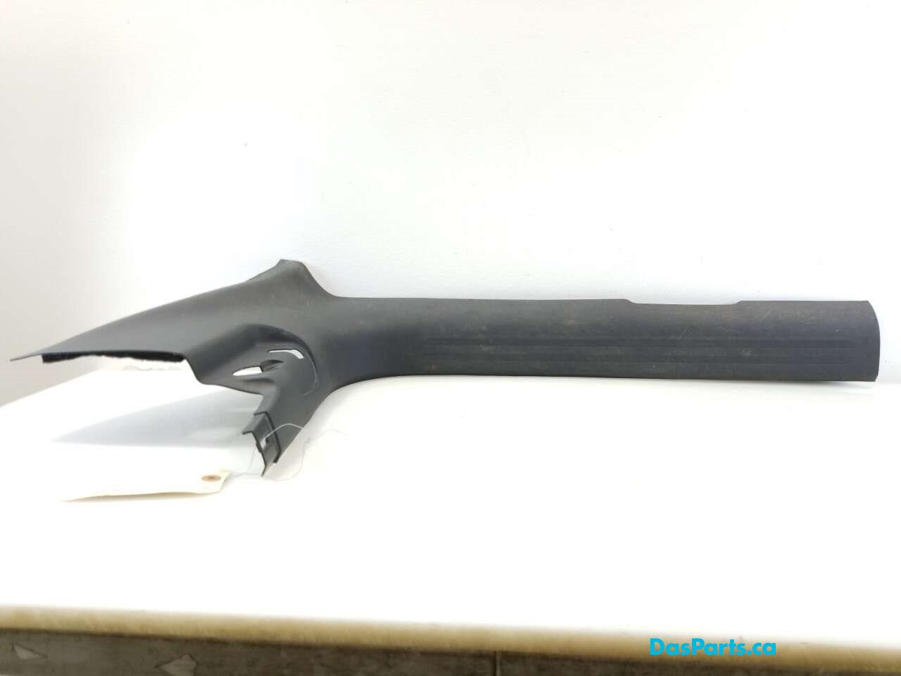 Lower Door Sill Trim LF
