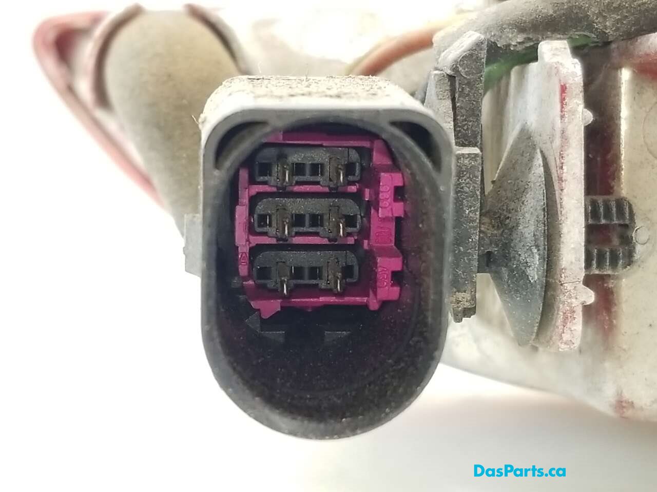Taillight Inner LR