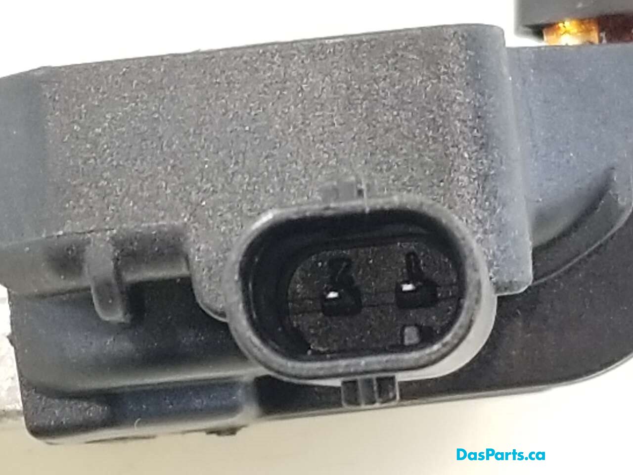 Main Ground Wire