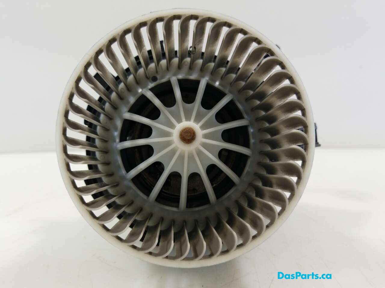 Blower Motor