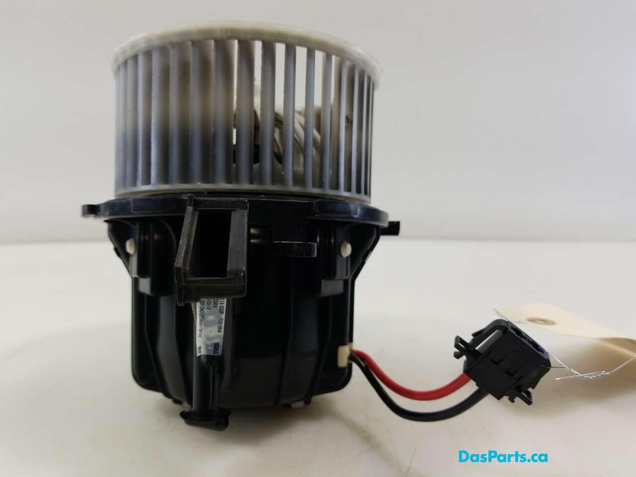 Blower Motor
