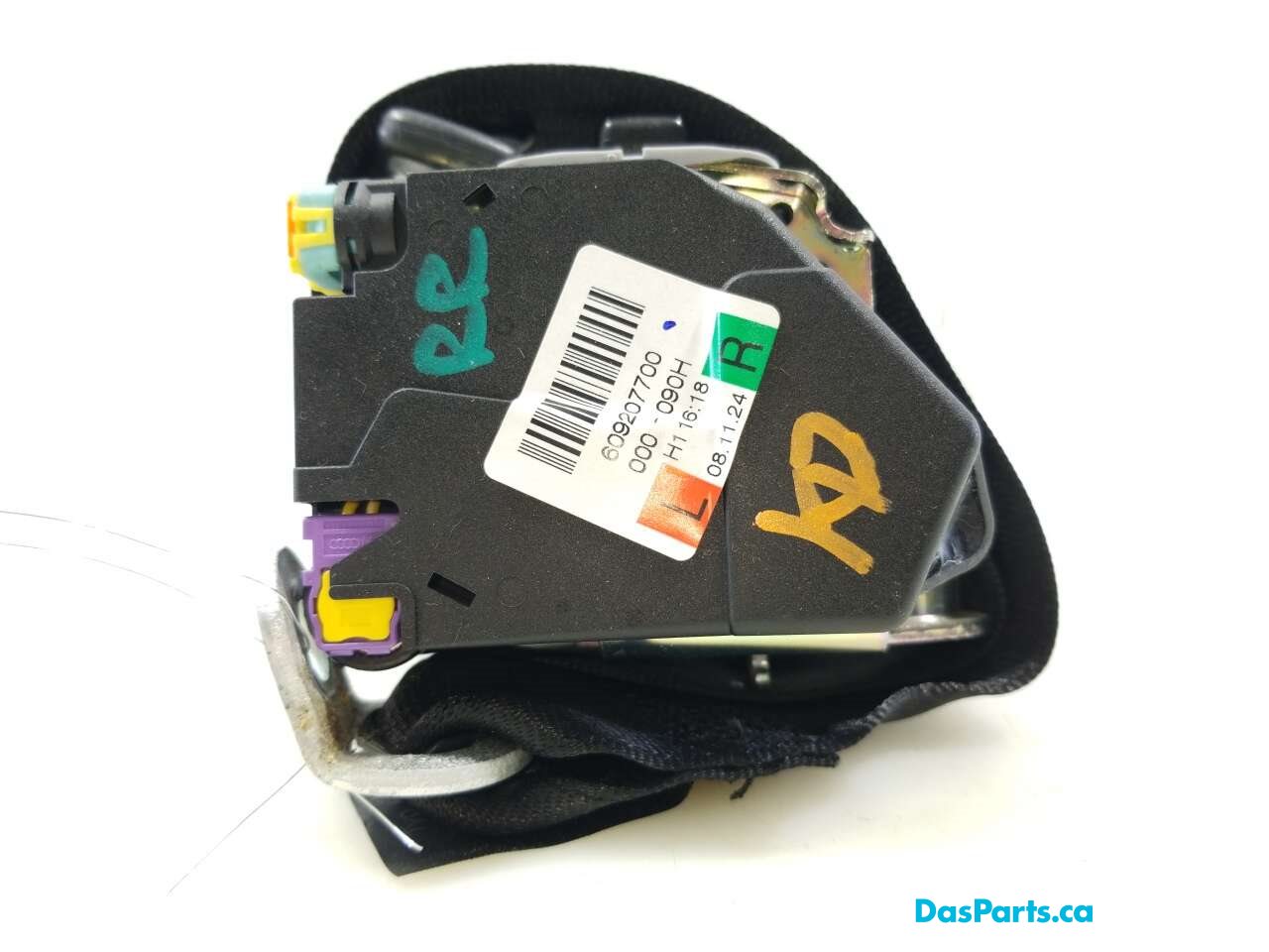 Seat Belt RR