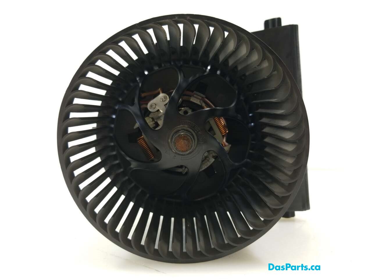 Blower Motor