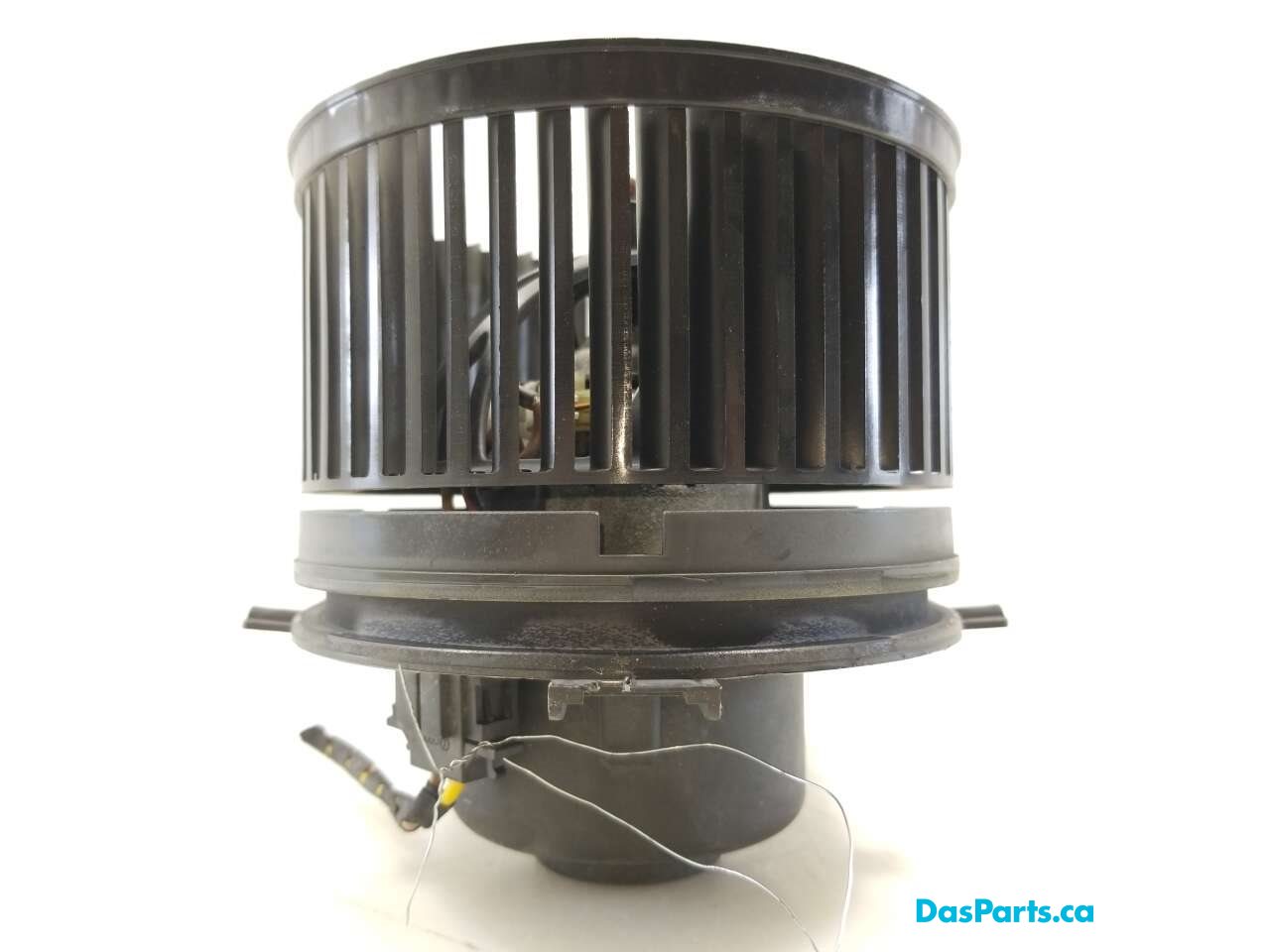 Blower Motor