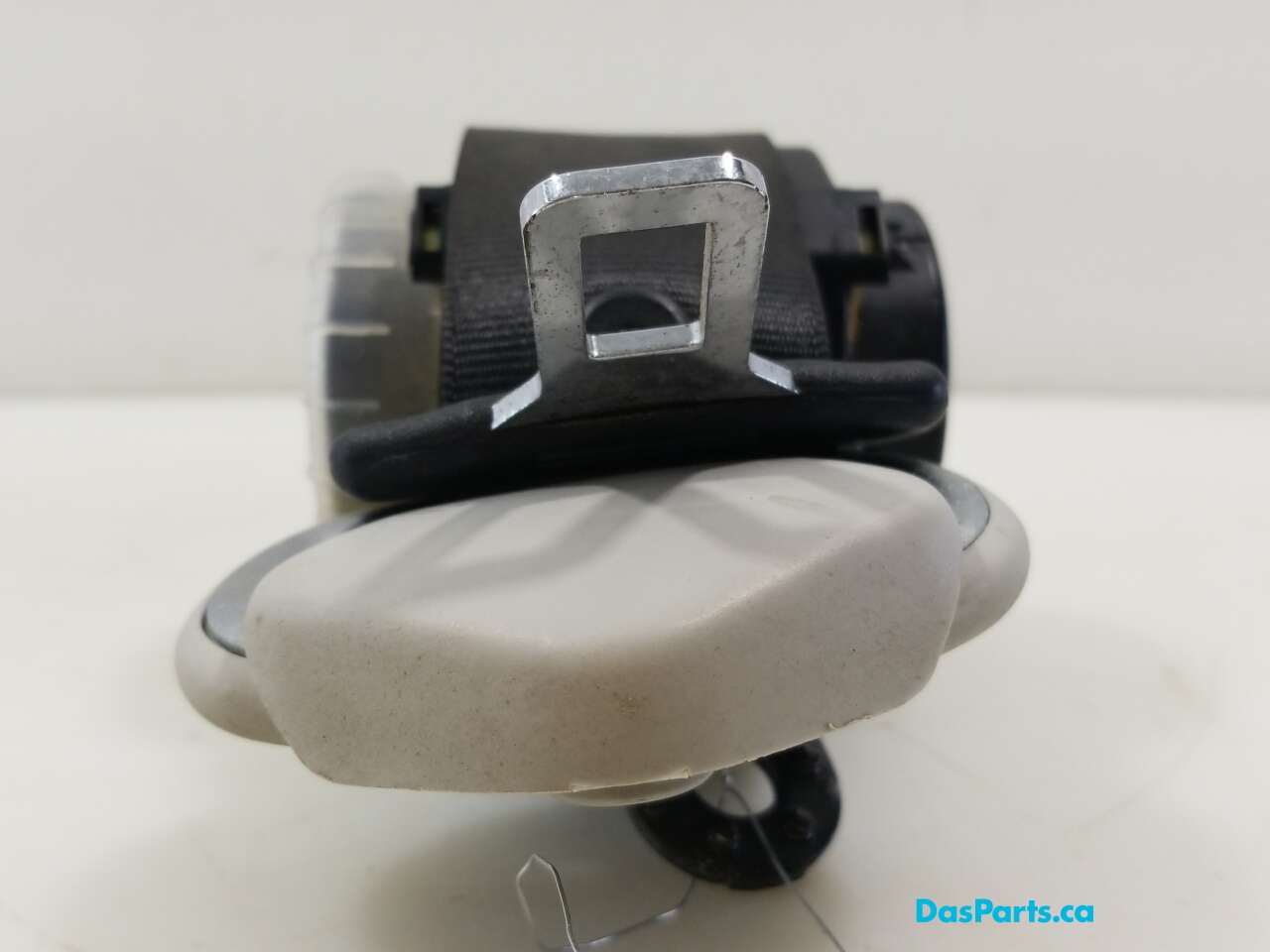 Seat Belt LR