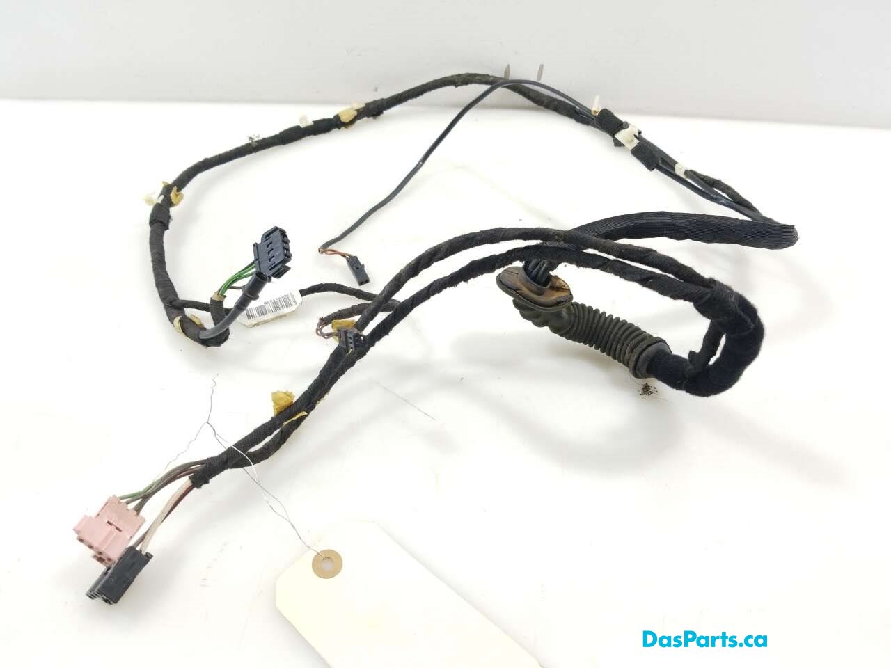 Hatch Harness 1