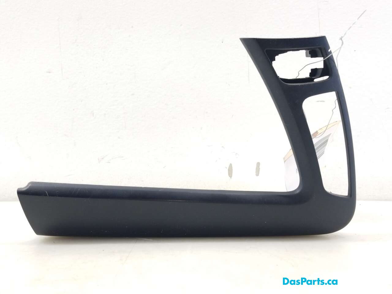 Door Trim LF