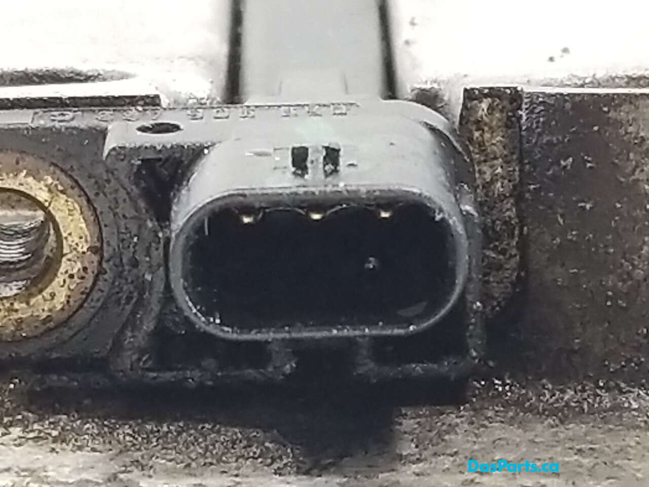 Timing Cover Lower