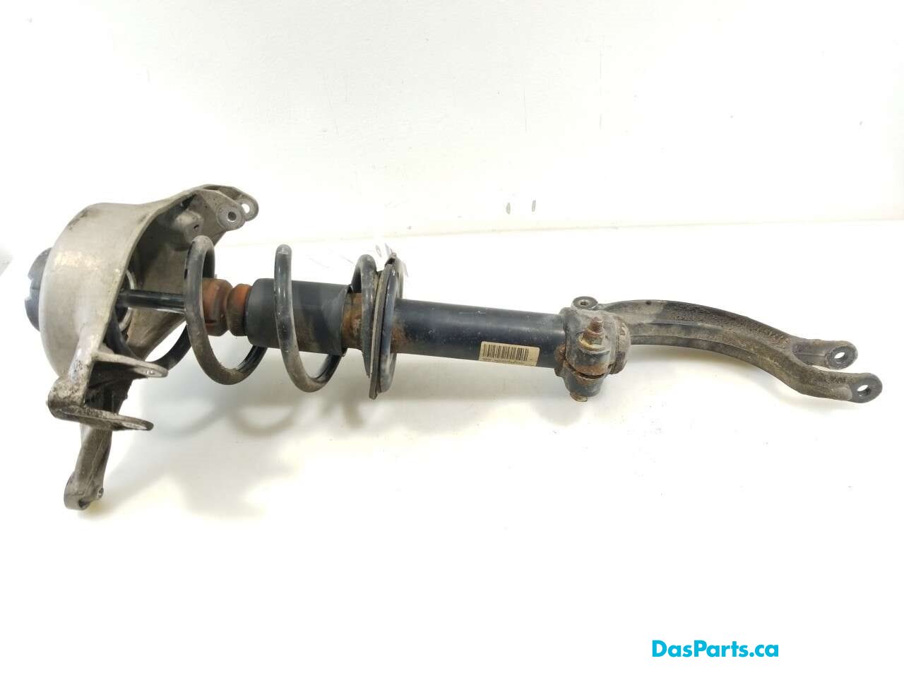 Strut Assembly LF