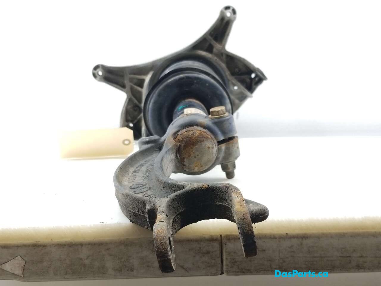 Strut Assembly LF