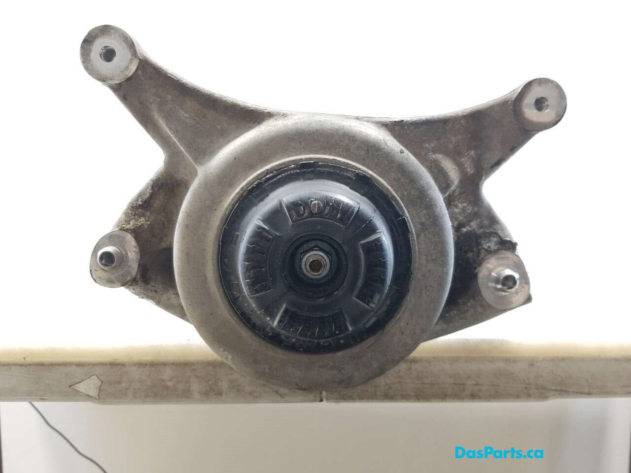 Strut Assembly LF