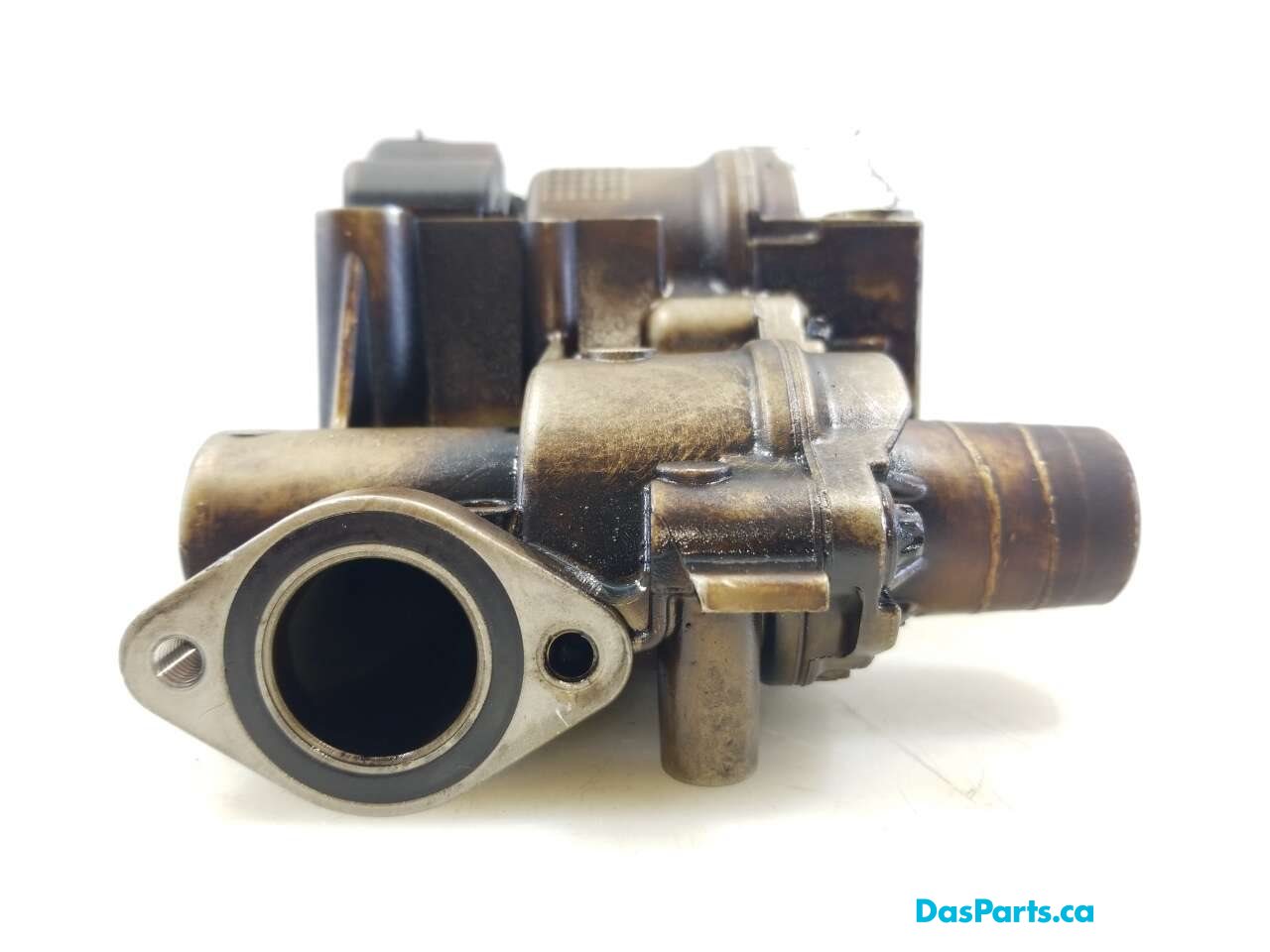 Oil Pump Assembly