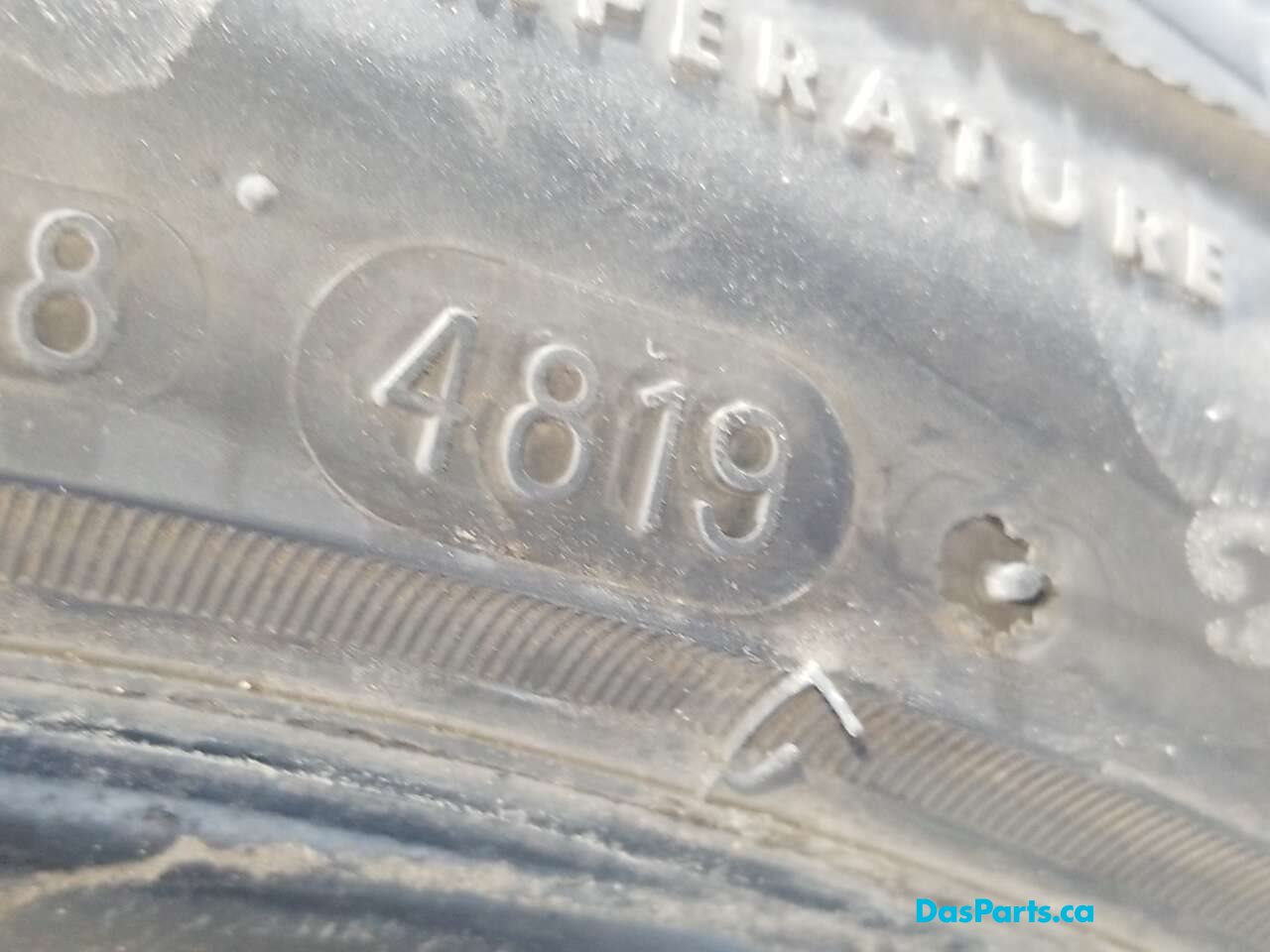 Tire Pair
