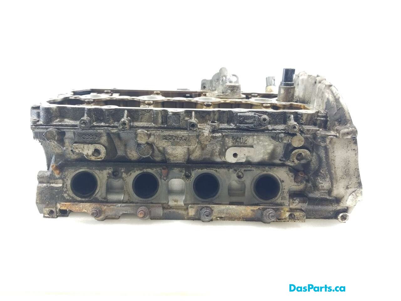 Engine Cylinder Head