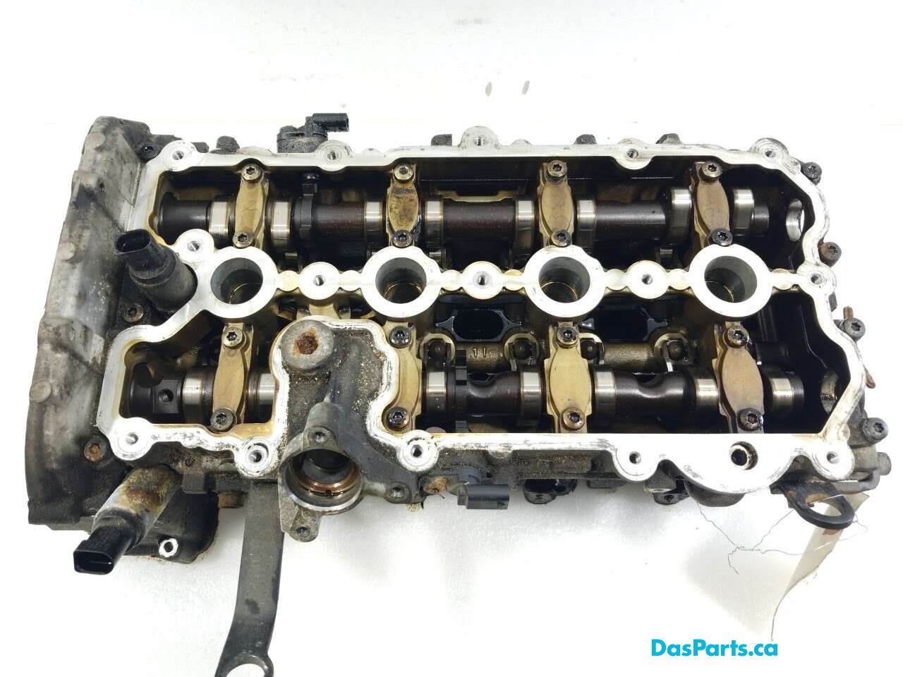 Engine Cylinder Head