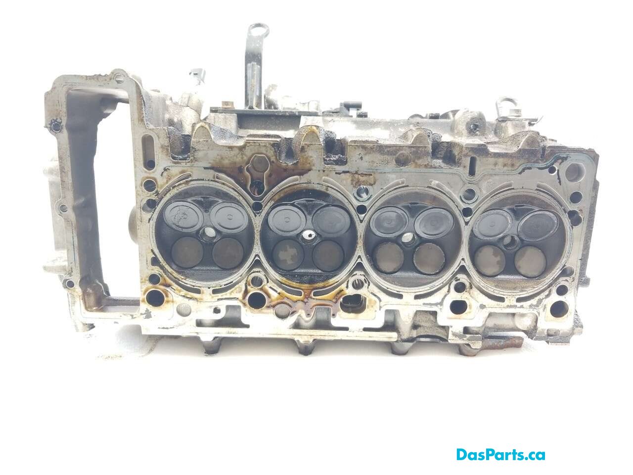 Engine Cylinder Head