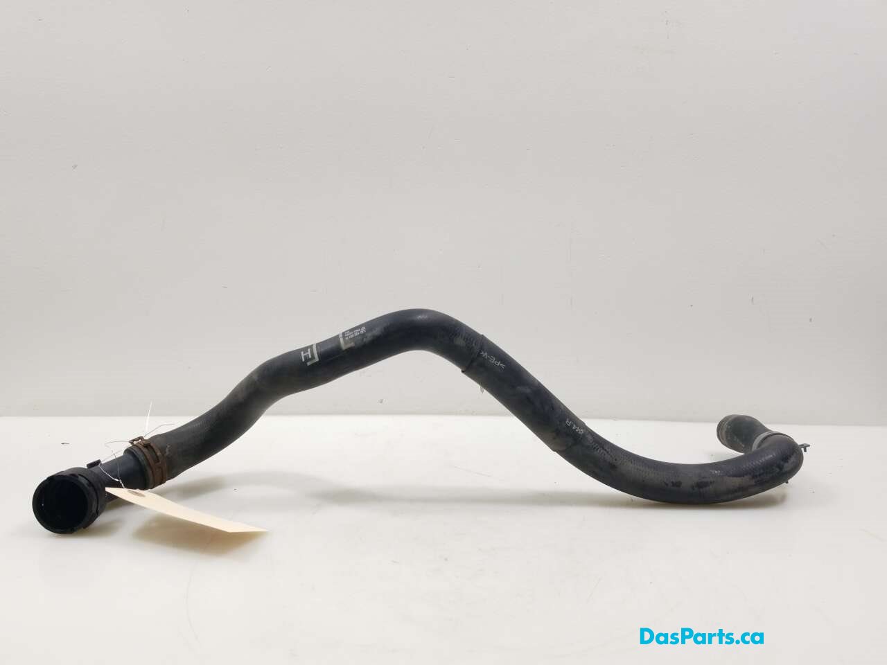 Lower Rad Hose