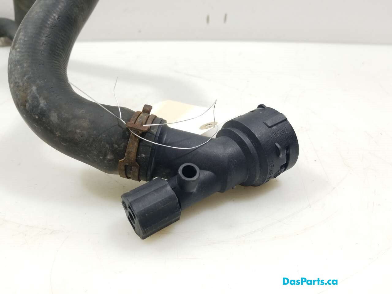 Lower Rad Hose