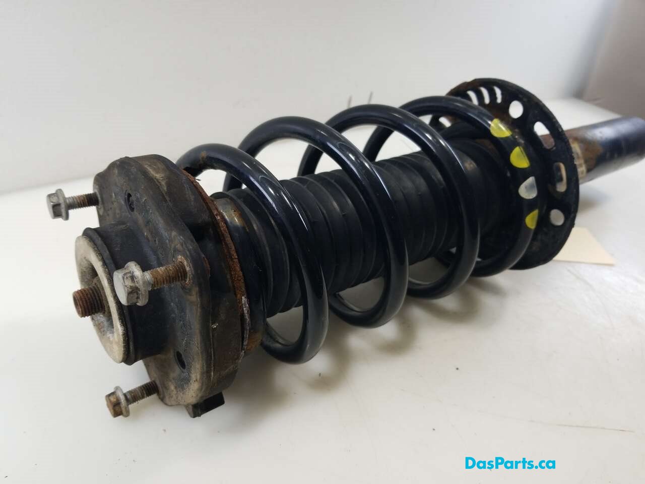 Strut Assembly LF