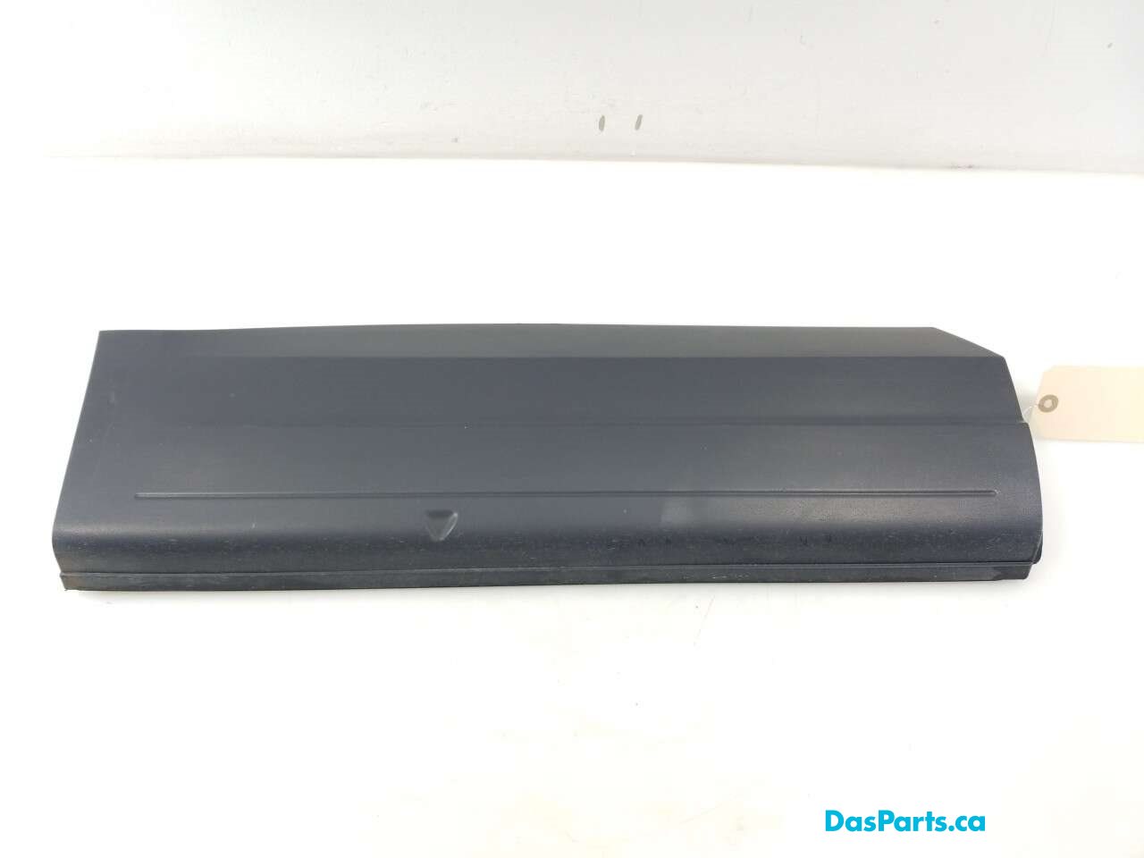 Lower Door Molding RR