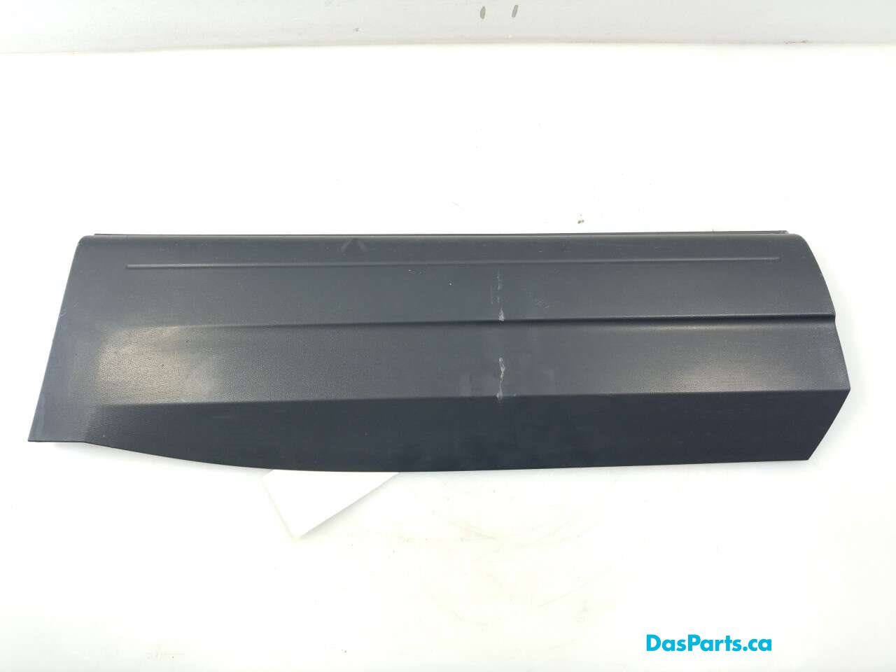 Lower Door Molding LR