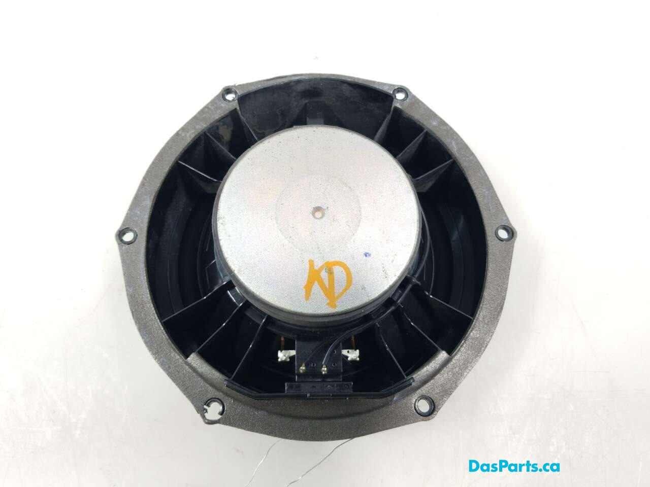 Speaker LF