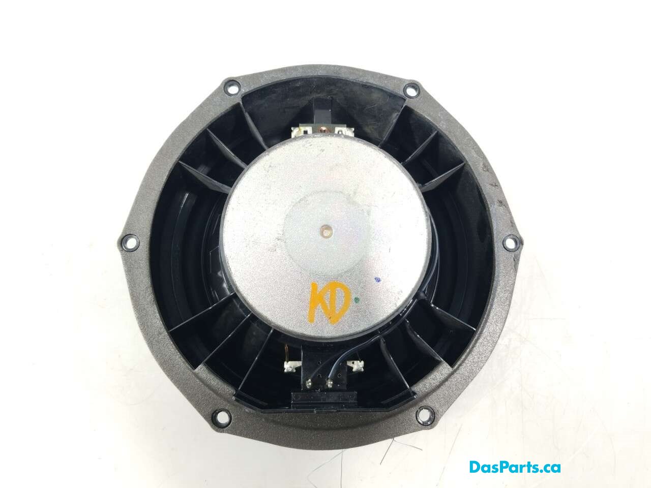 Speaker RF