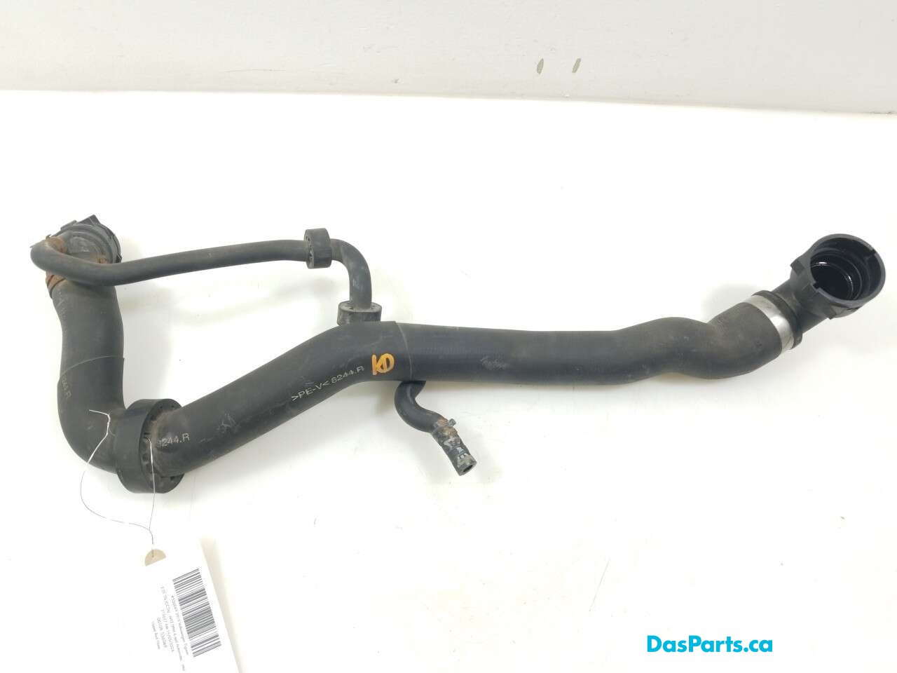 Upper Rad Hose