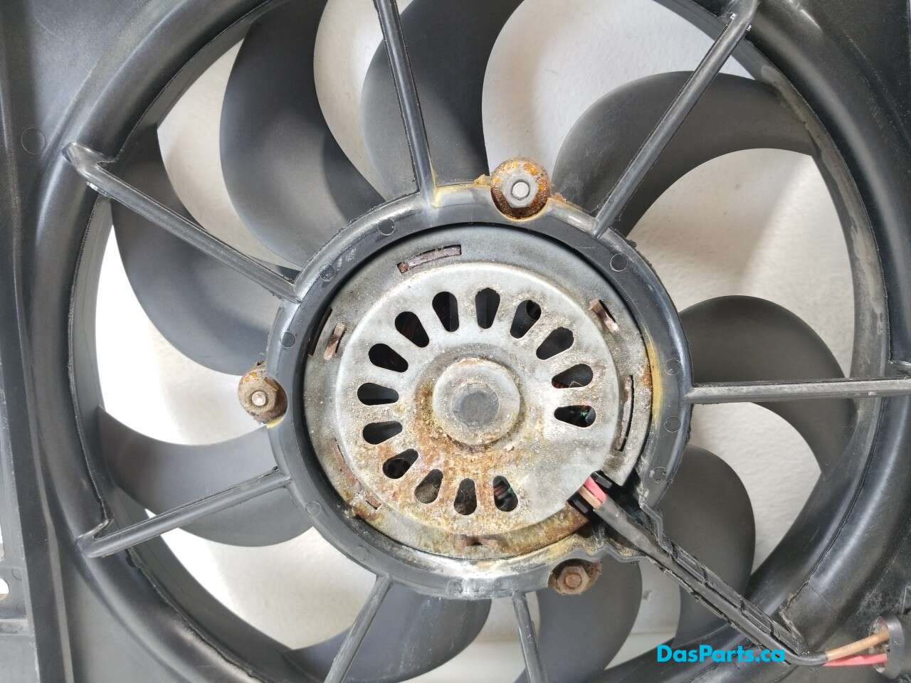 Rad Fan Assembly