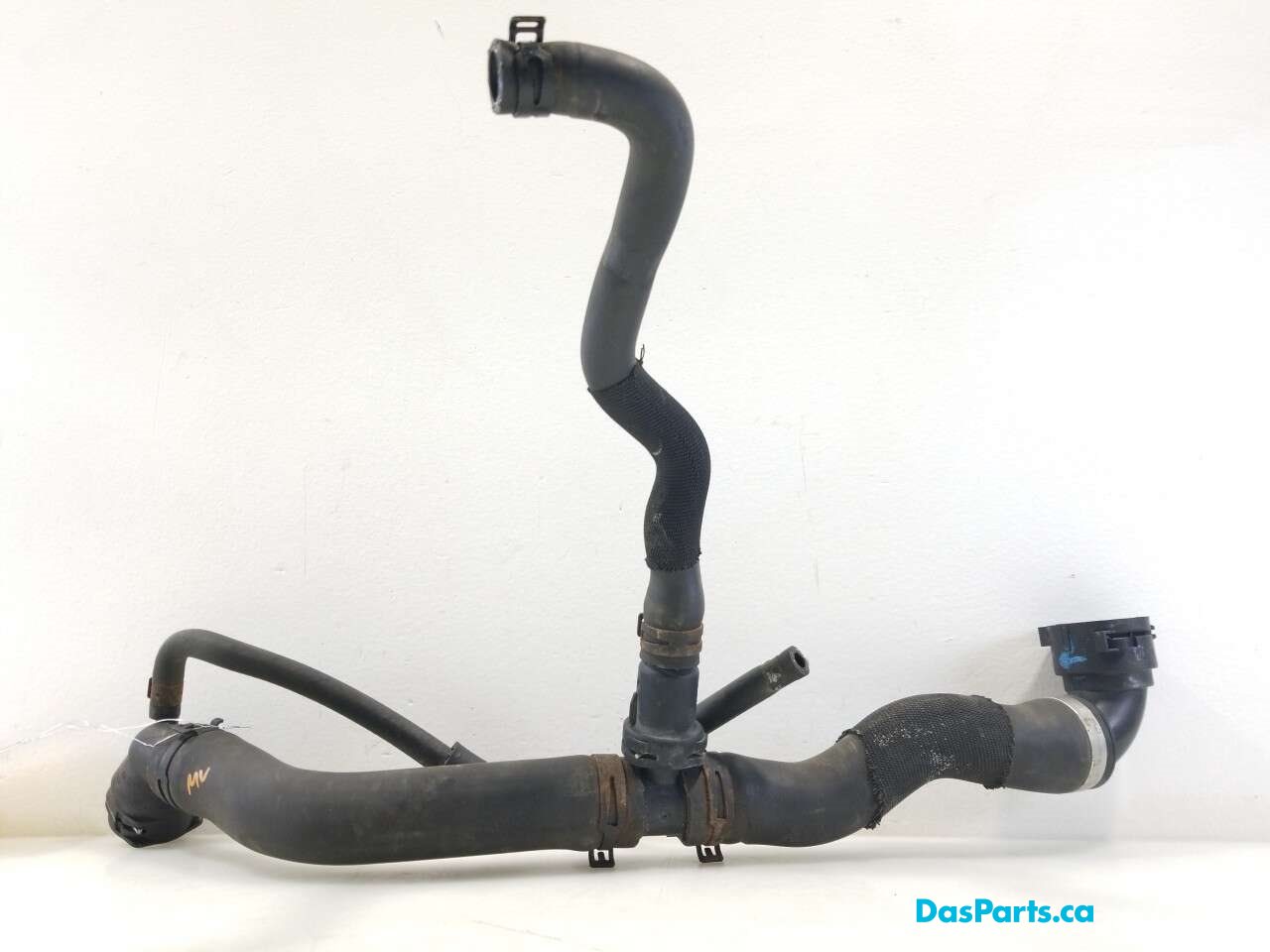 Upper Rad Hose