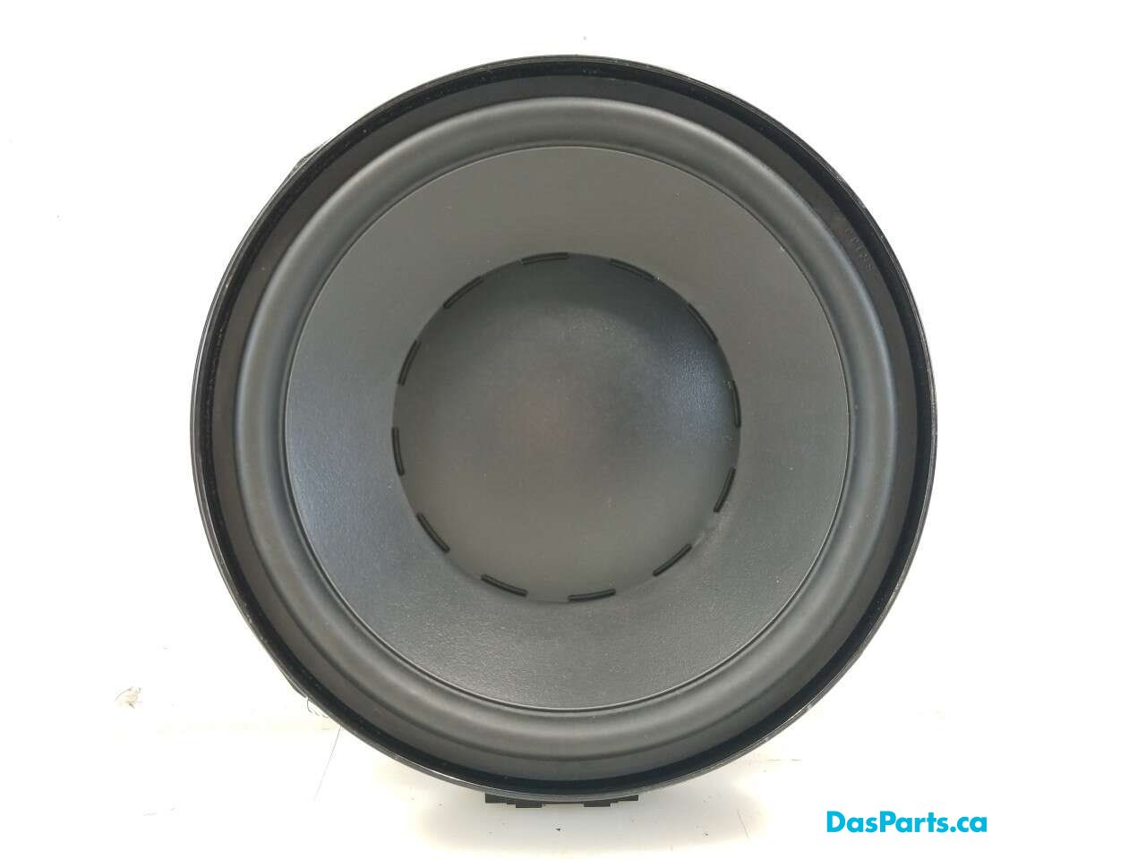 Speaker RF