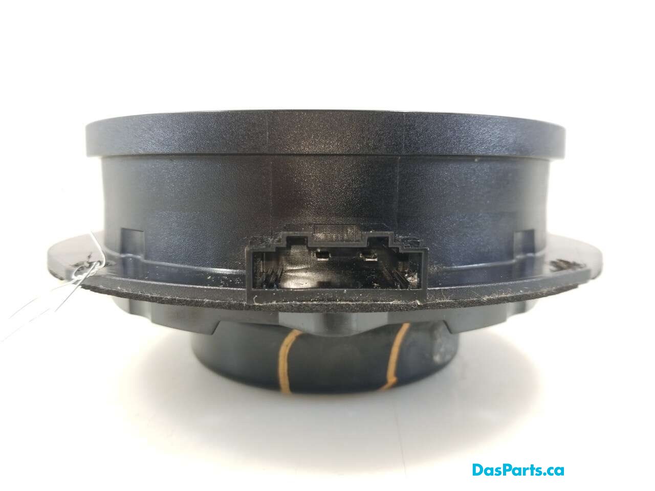 Speaker RF