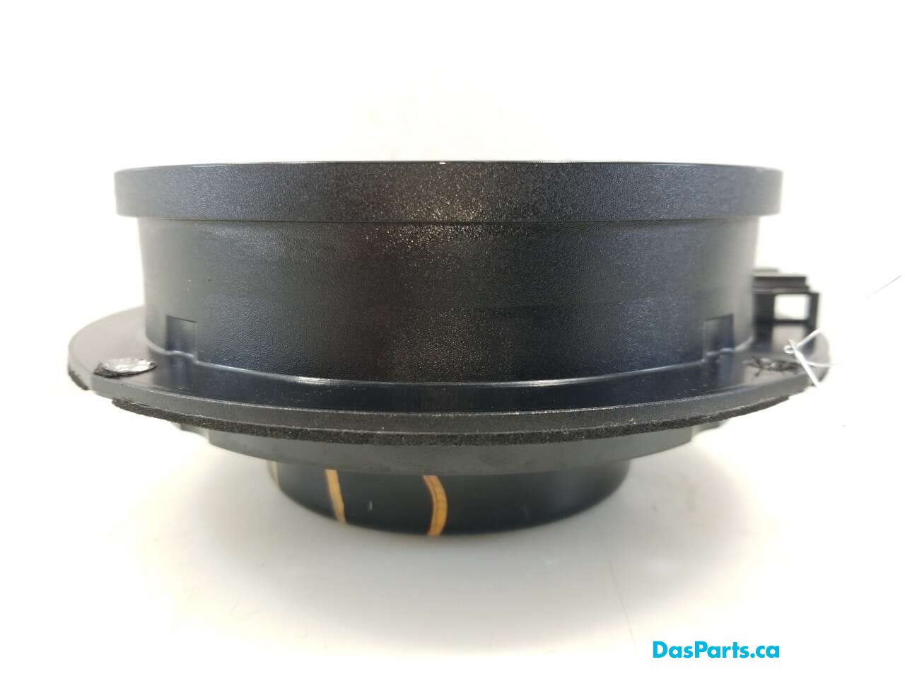 Speaker RF