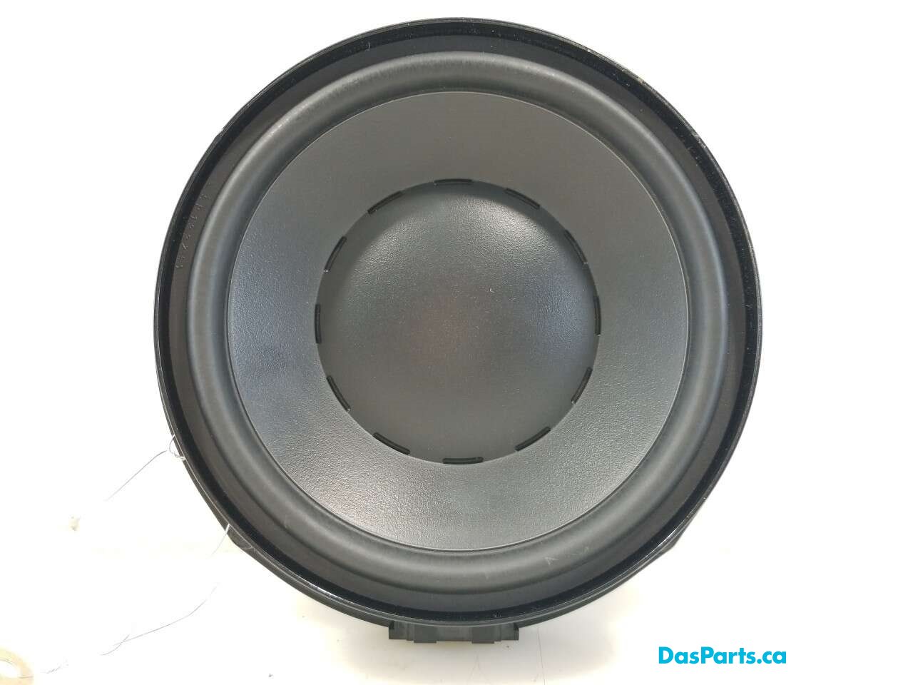 Speaker LR