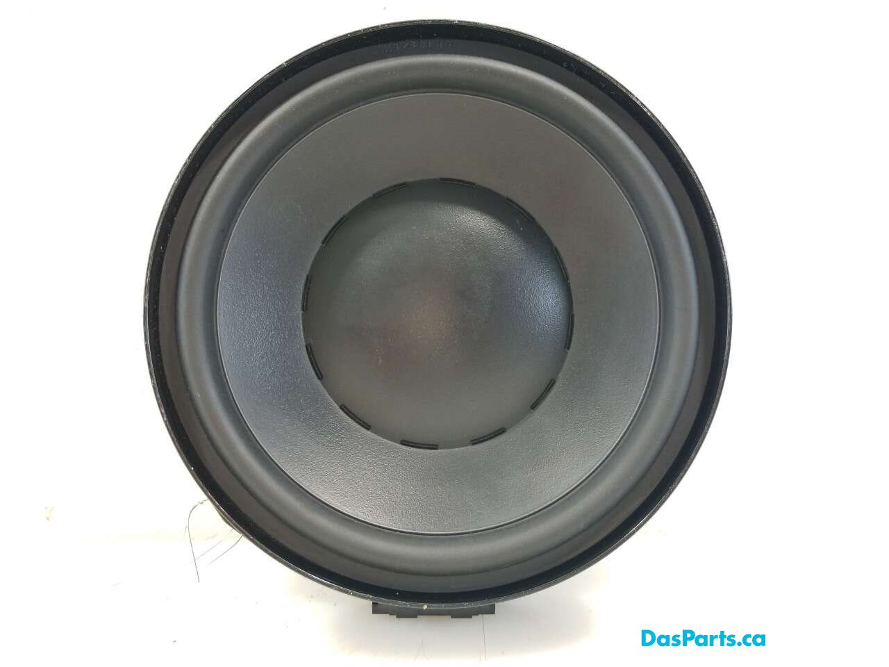 Speaker RR