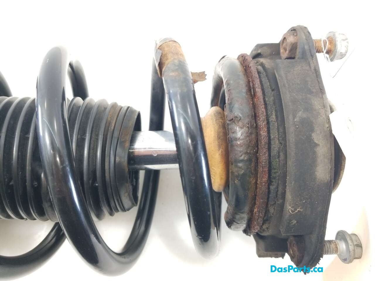 Strut Assembly RF