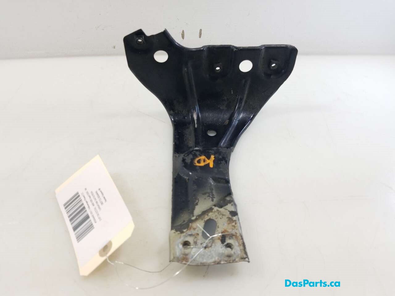 Fender Support RF