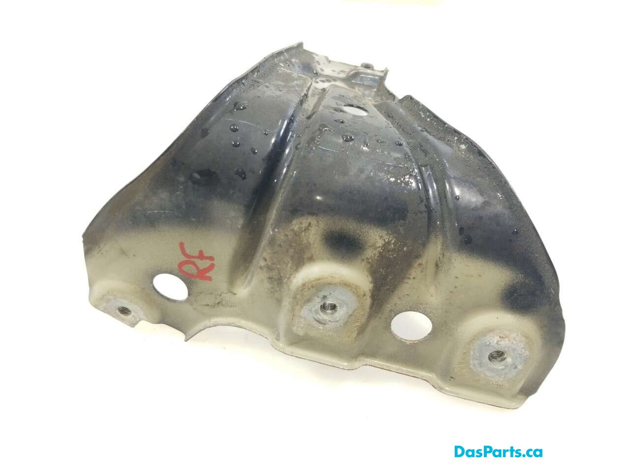 Fender Support RF
