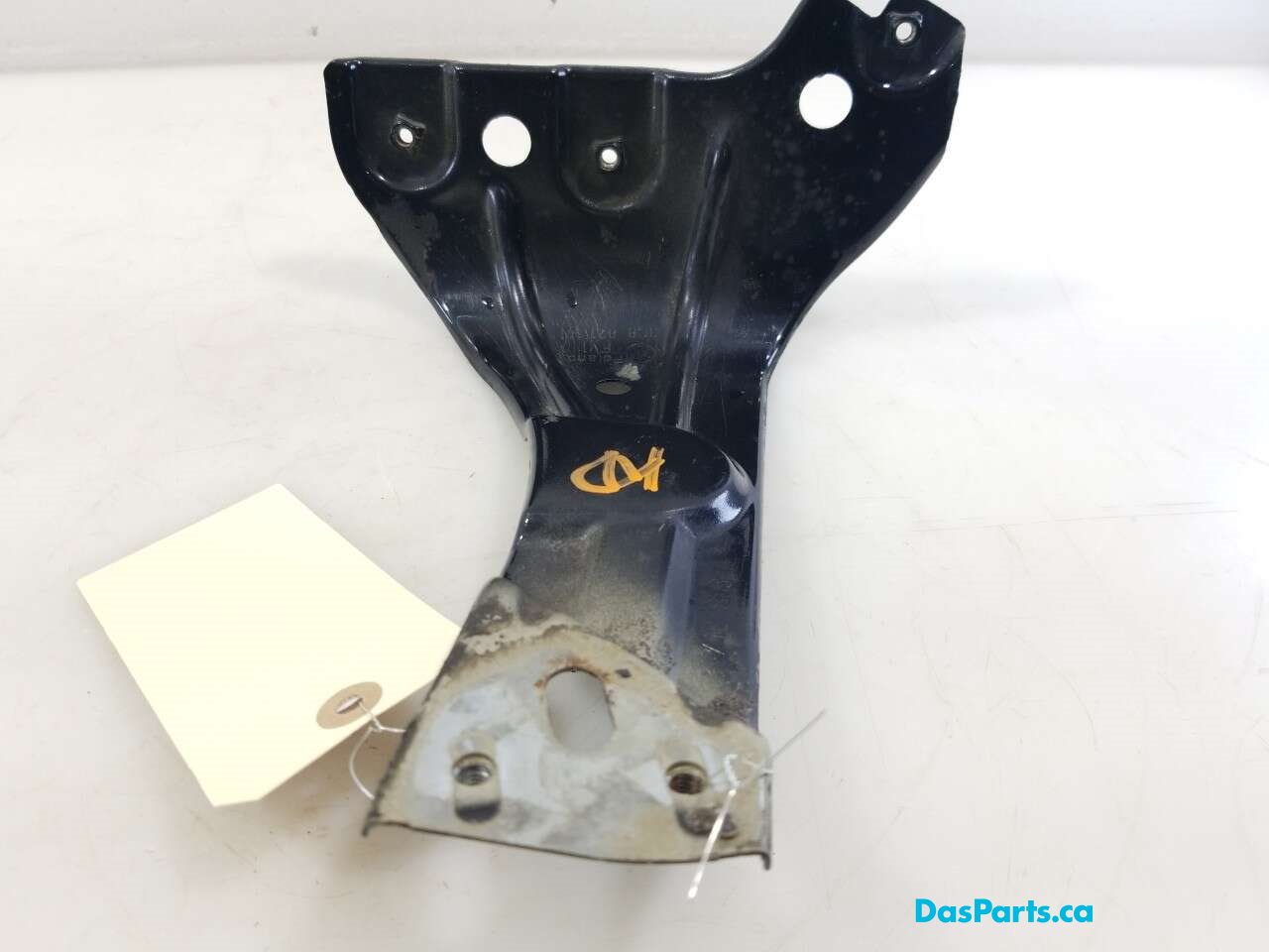 Fender Support LF
