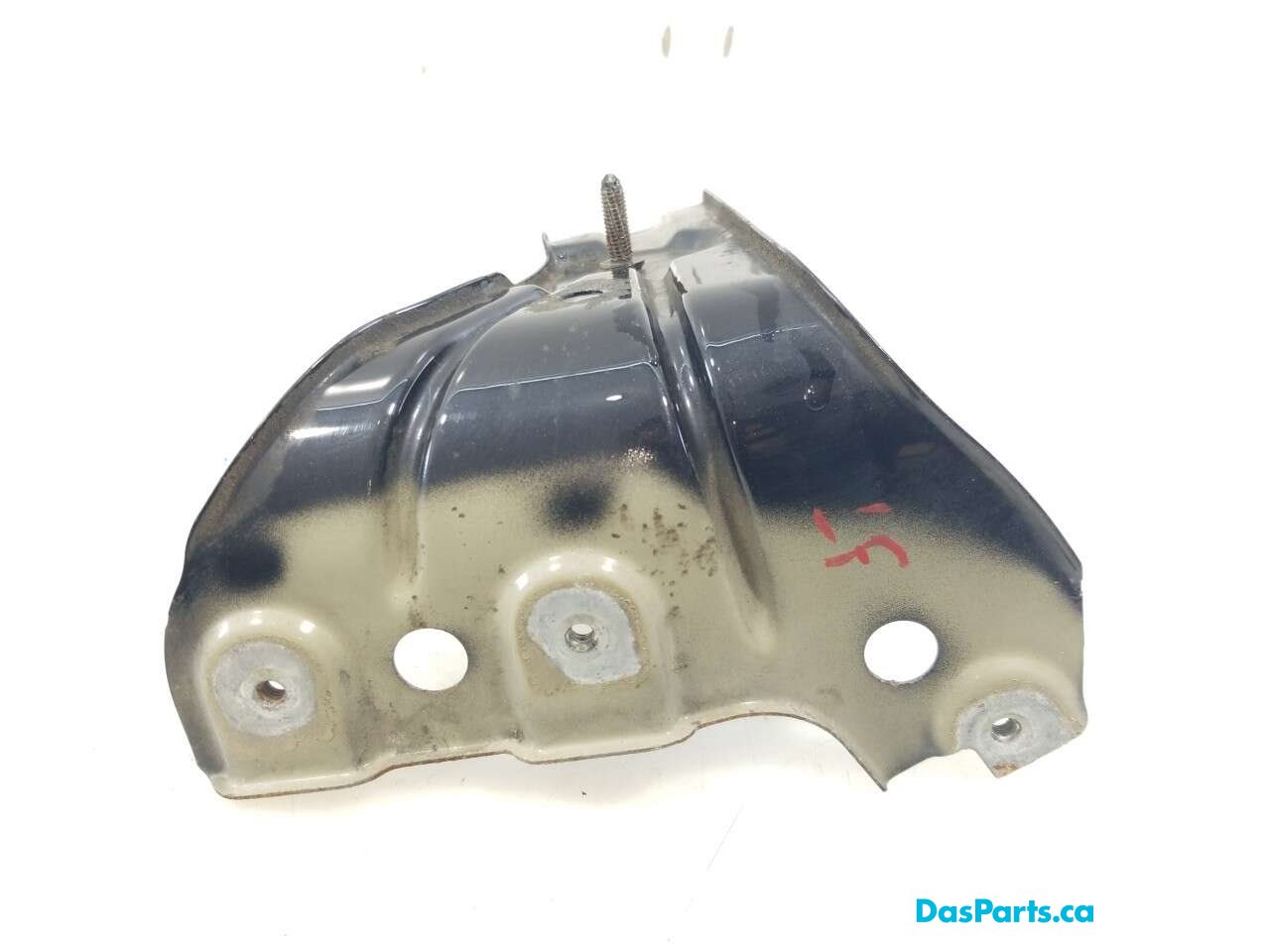Fender Support LF