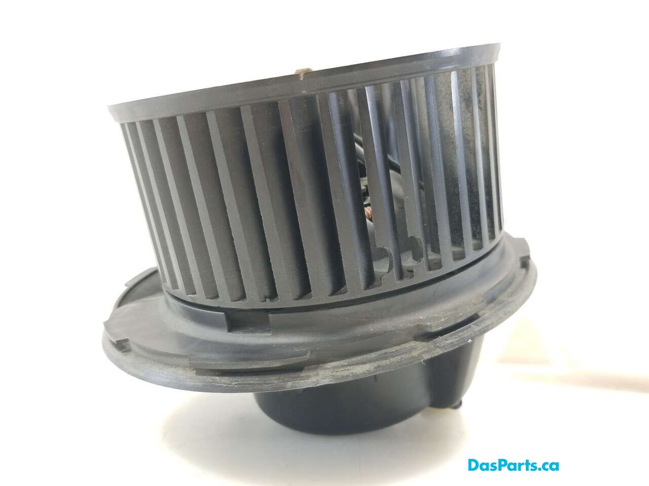 Blower Motor