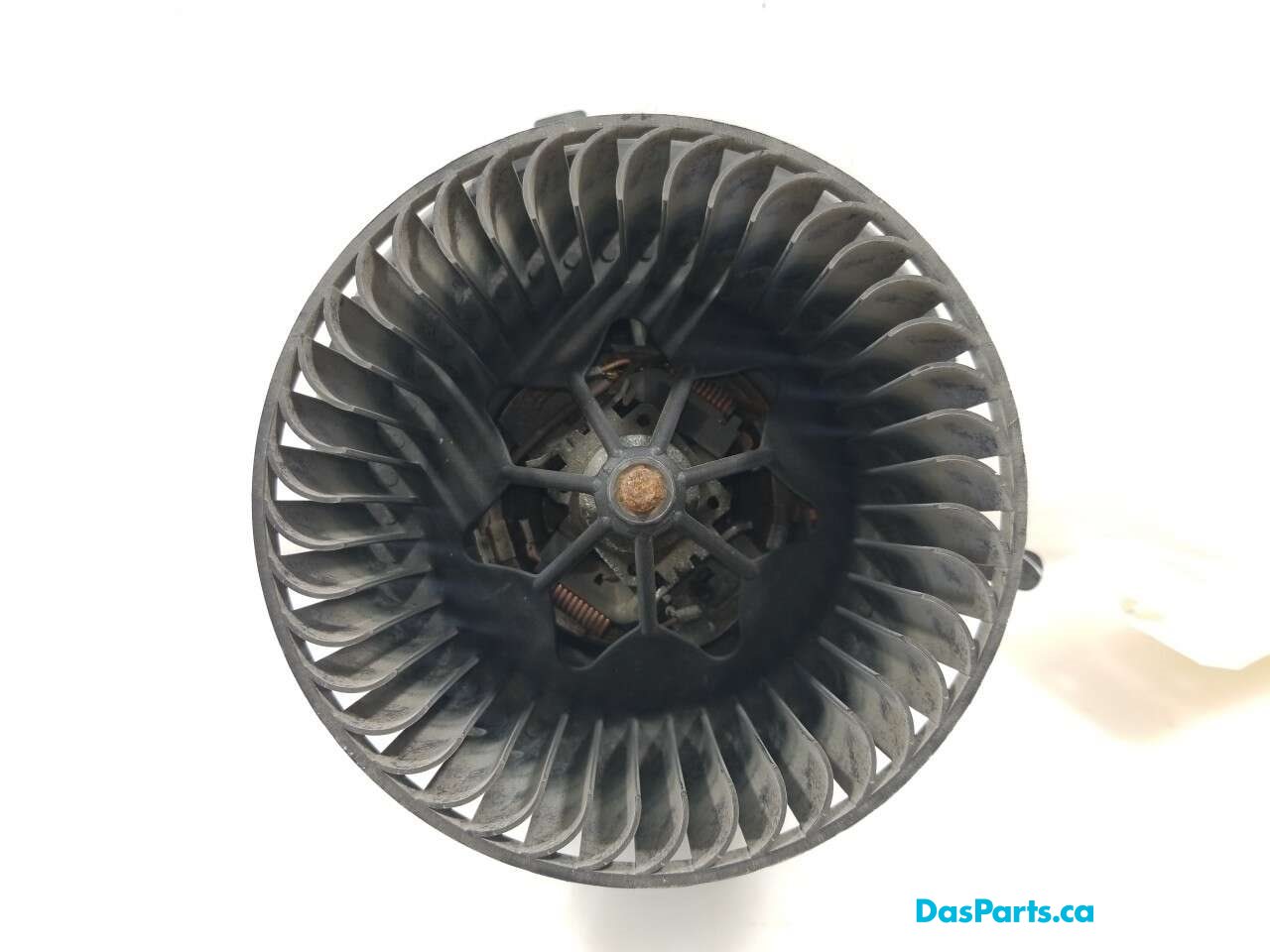 Blower Motor
