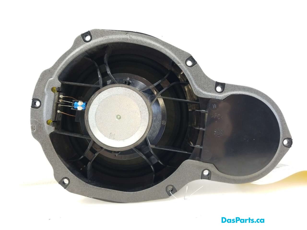 Speaker RF