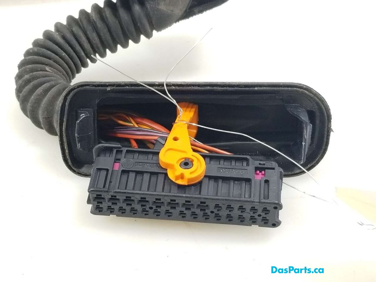 Door Harness LF 1